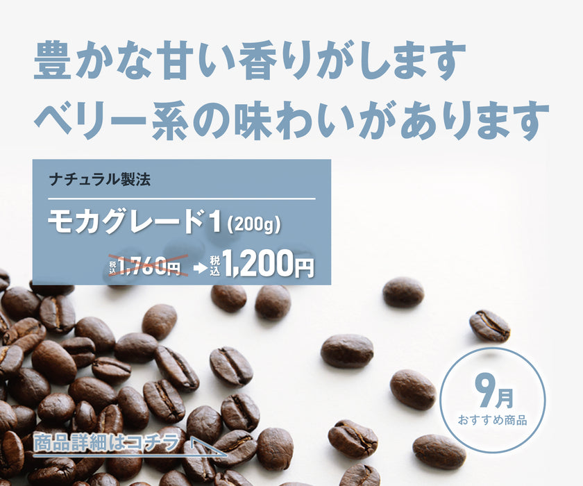 【酸味・甘み】モカ イルガチェフェ G1 ナチュラル 200g